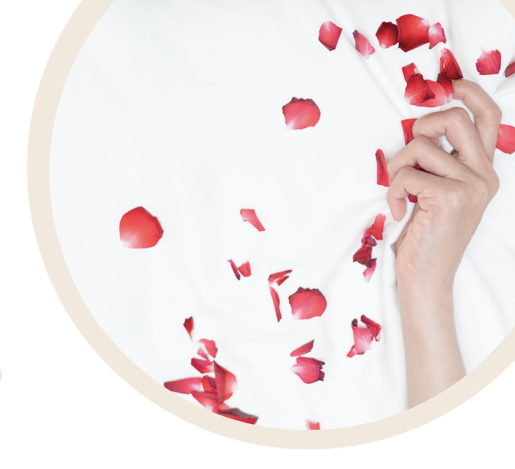 Percorso generale webinar